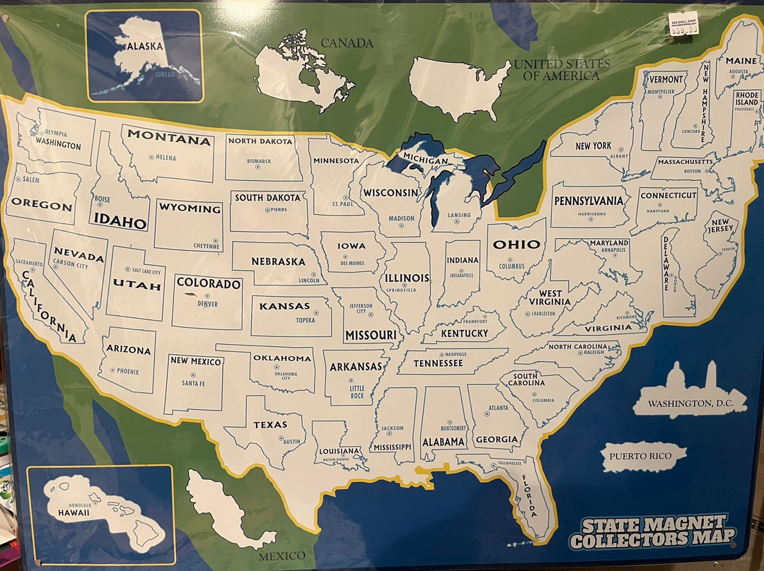 Sea Shell Shop - Coastal Highway-里霍博斯比奇必去景点