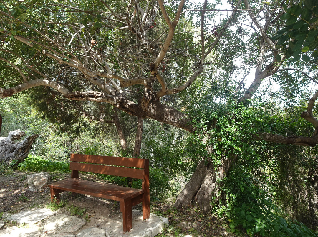 Akamas Peninsula-Neo Chorion必去景点