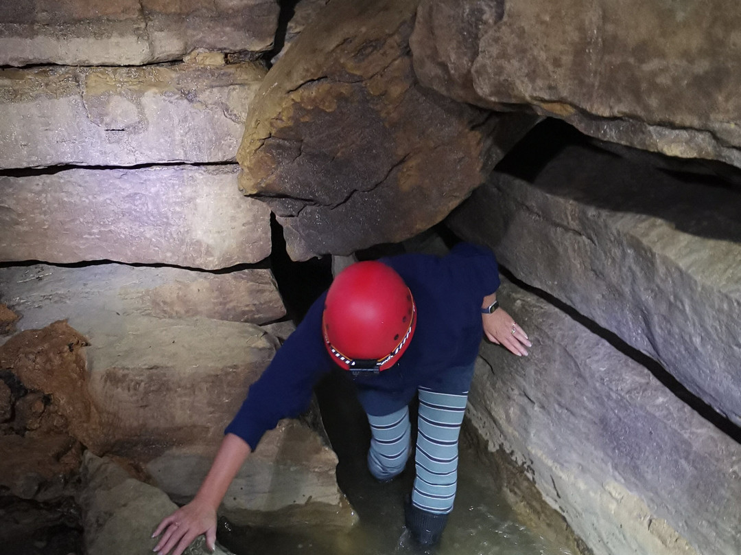 Down To Earth - Eco Cave Tours In Waitomo-怀托摩洞穴必去景点