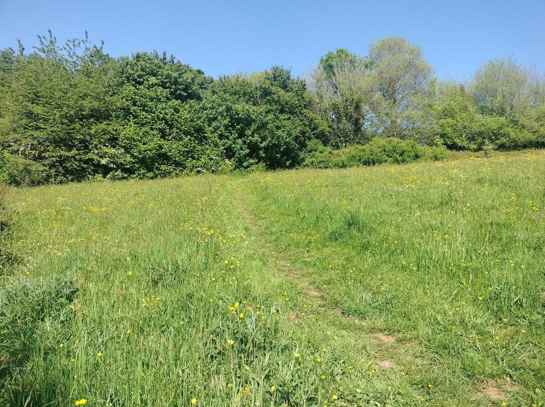 Eastcliff (Mules) Park