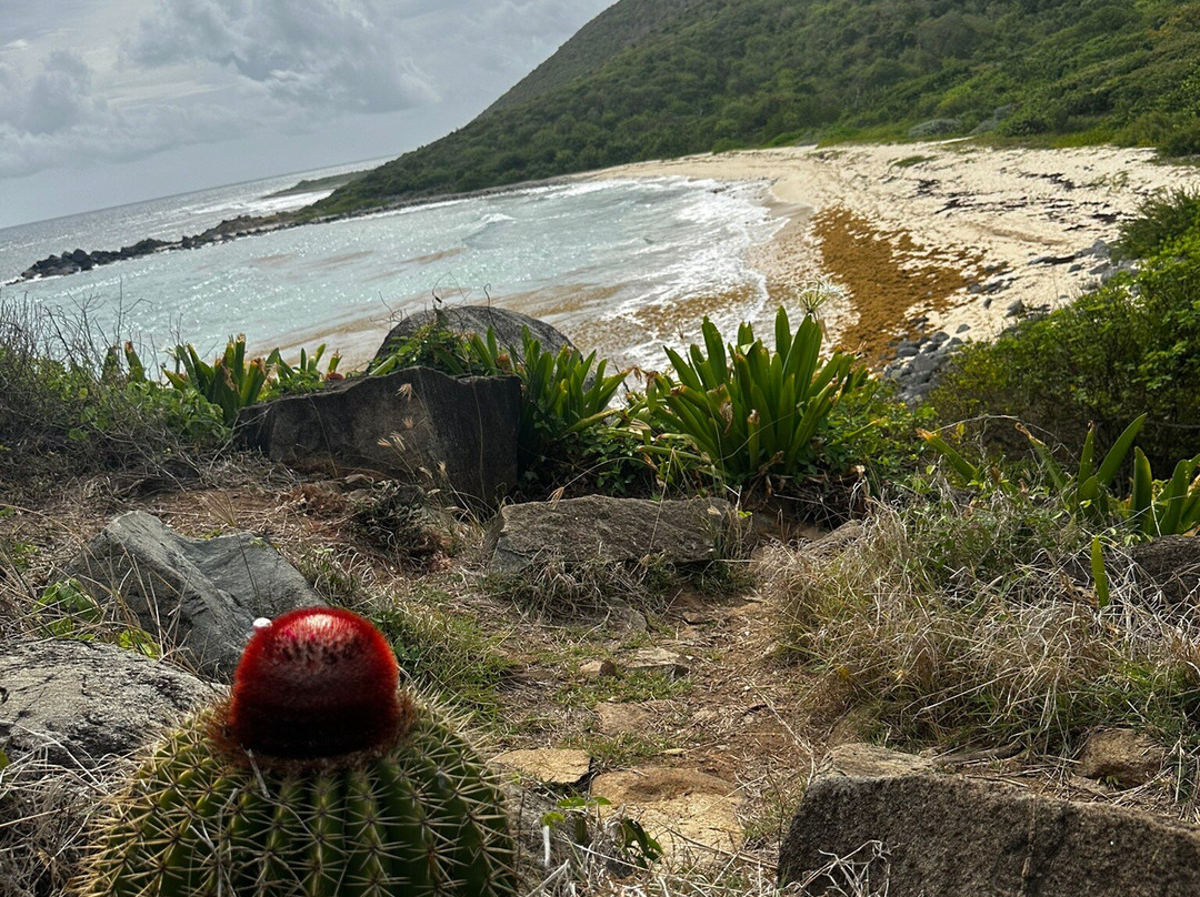 Petites Cayes-Anse Marcel必去景点