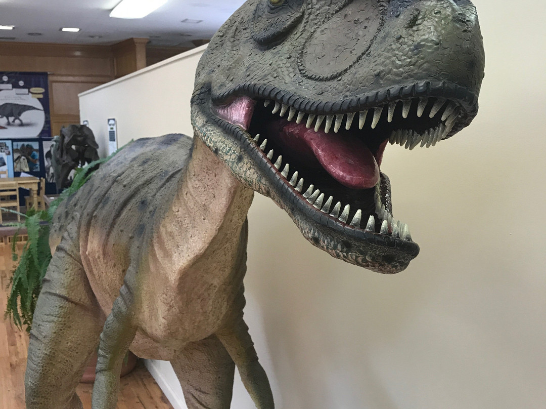 Dinosaur Ridge-Morrison必去景点