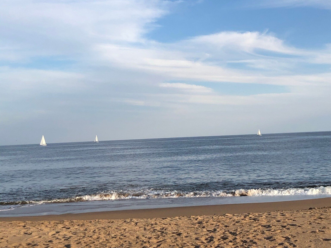 Playa Punta Ballena-Punta Ballena必去景点