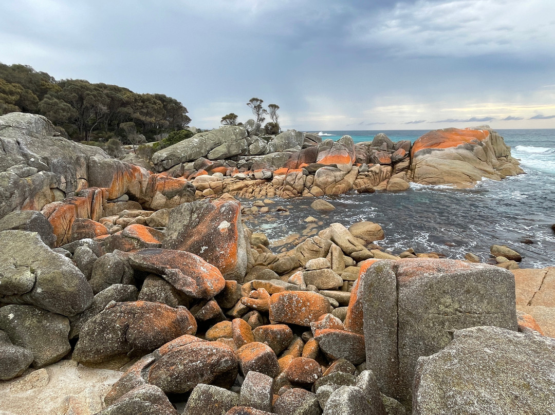 Bay of Fires景点图片