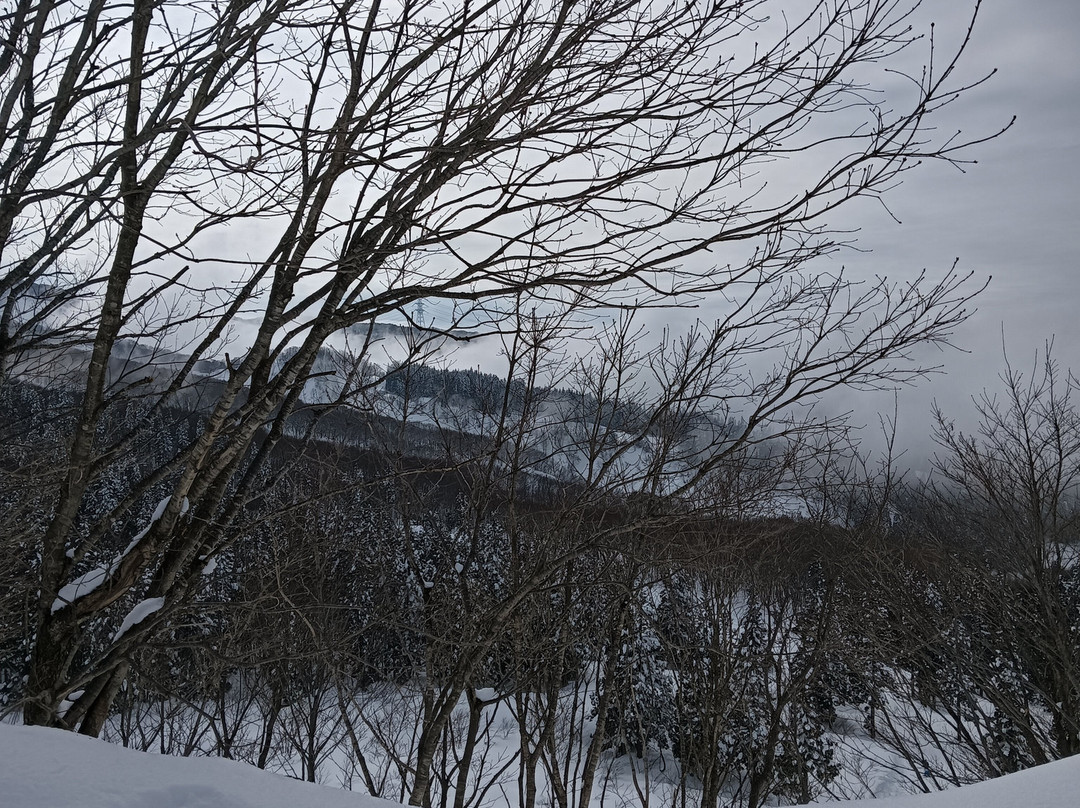 Jyoetsu International Ski Area-南鱼沼市必去景点