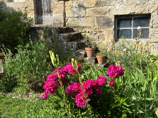 Clos Des Moulins主图