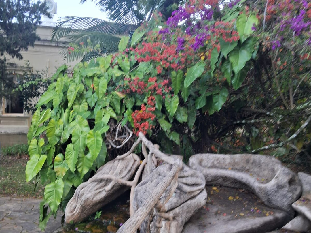 Parque das Águas-Caxambu必去景点