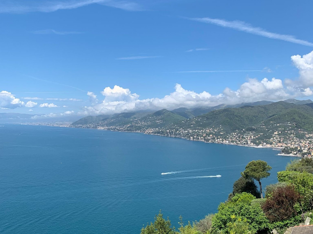 Sentiero san Rocco-Batterie-san Fruttuoso-卡莫利必去景点