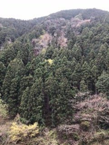 鸠之巢庄国民宿舍主图