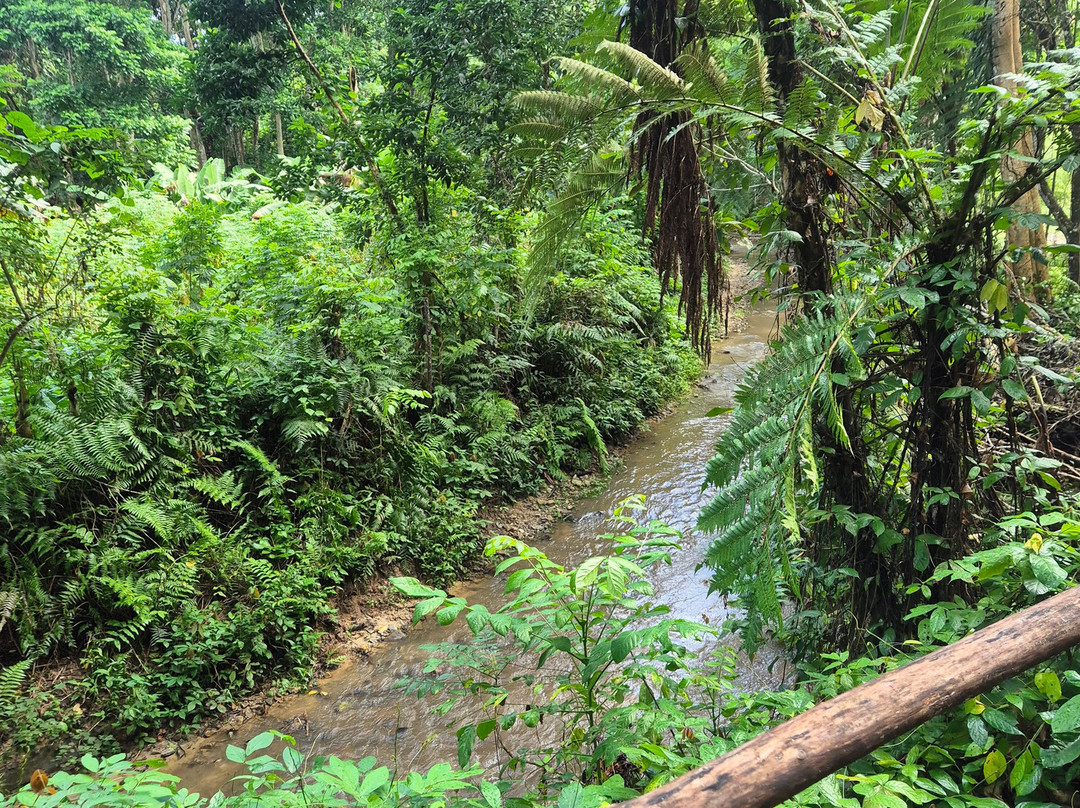 Biausevu Waterfall景点图片