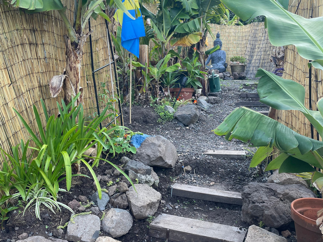 Banana Garden Glamping Madeira