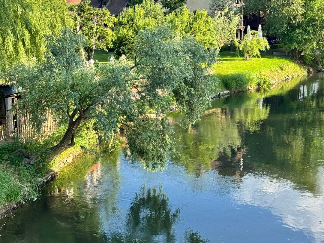 Hôtel Des Berges主图