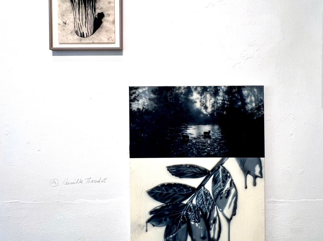 A66 Gallery