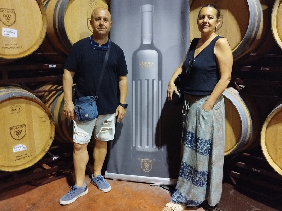 Bodegas Bocopa-阿利坎特省必去景点