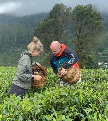 Ceylon Tours Banuka-美蕊沙必去景点