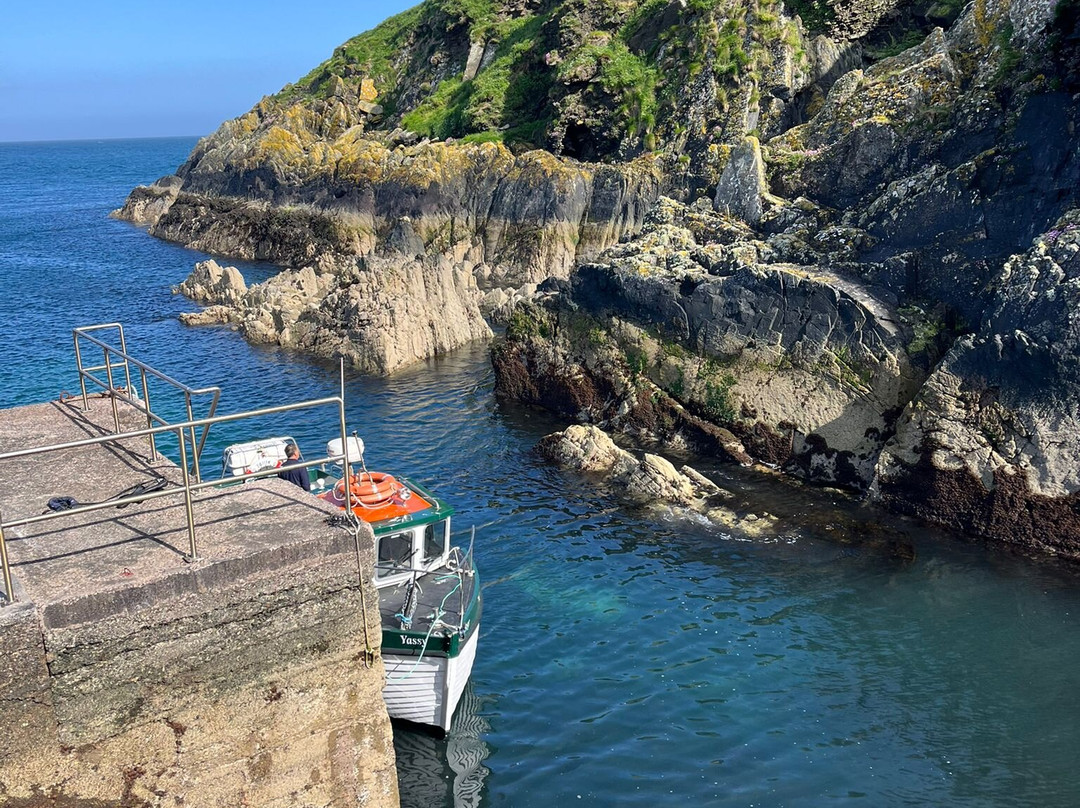 Ballycotton Island Lighthouse Tours景点图片