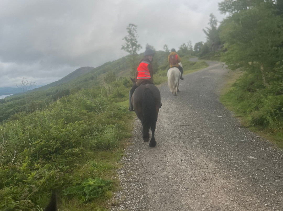 Fell Pony Adventures景点图片
