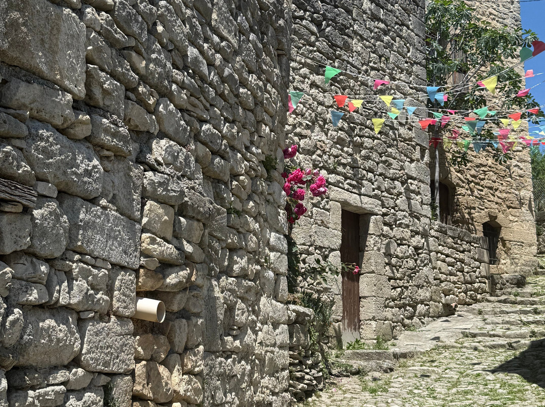 Citadelle de Mane景点图片