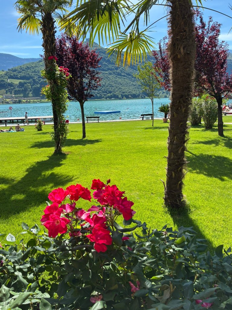 Hotel Seegarten-官方