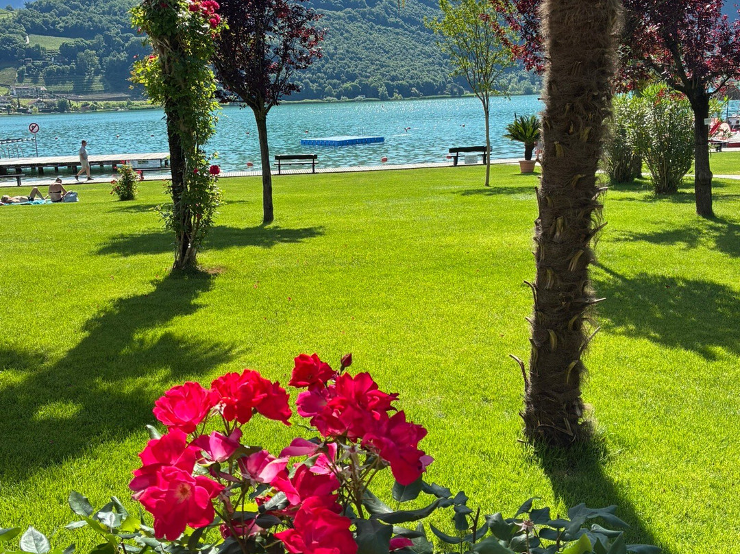 Hotel Seegarten主图