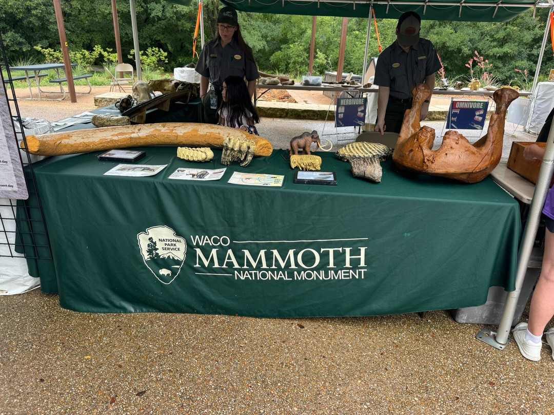 Waco Mammoth National Monument-韦科必去景点