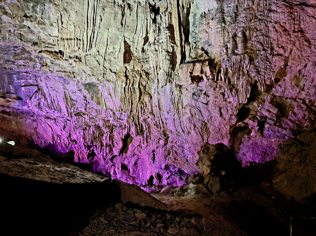 Woodward Cave and Campground景点图片