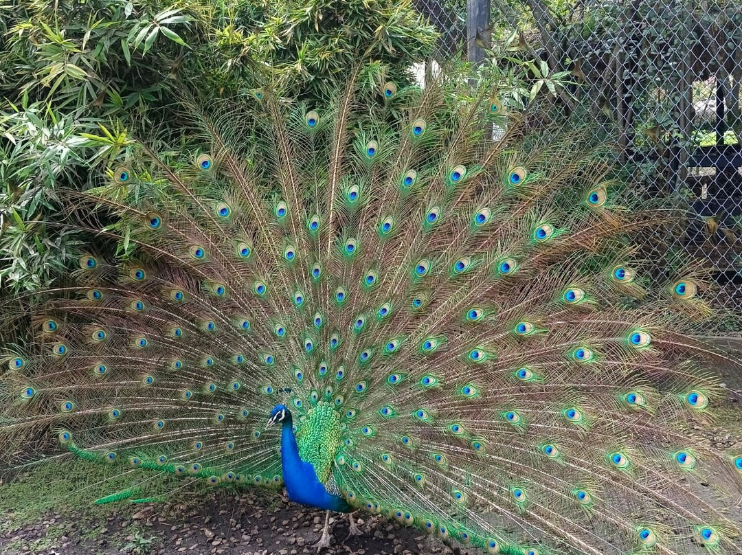 Multiparque-波哥大必去景点