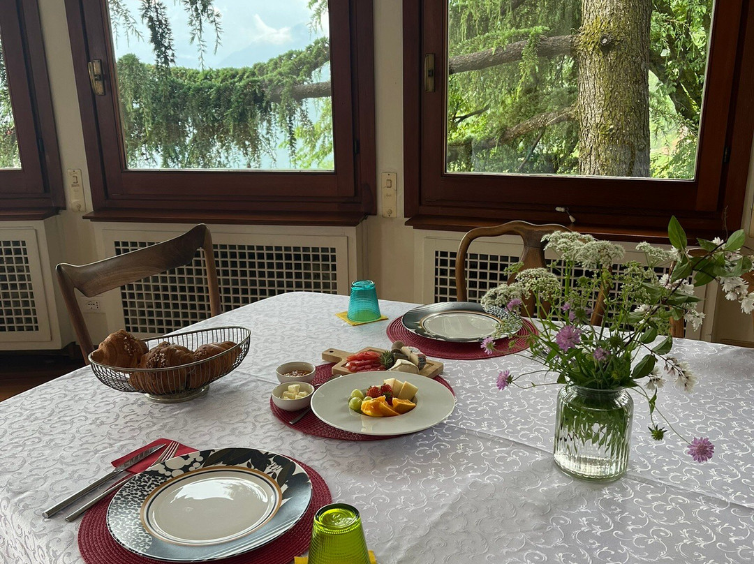 Villa Ponti Bellavista