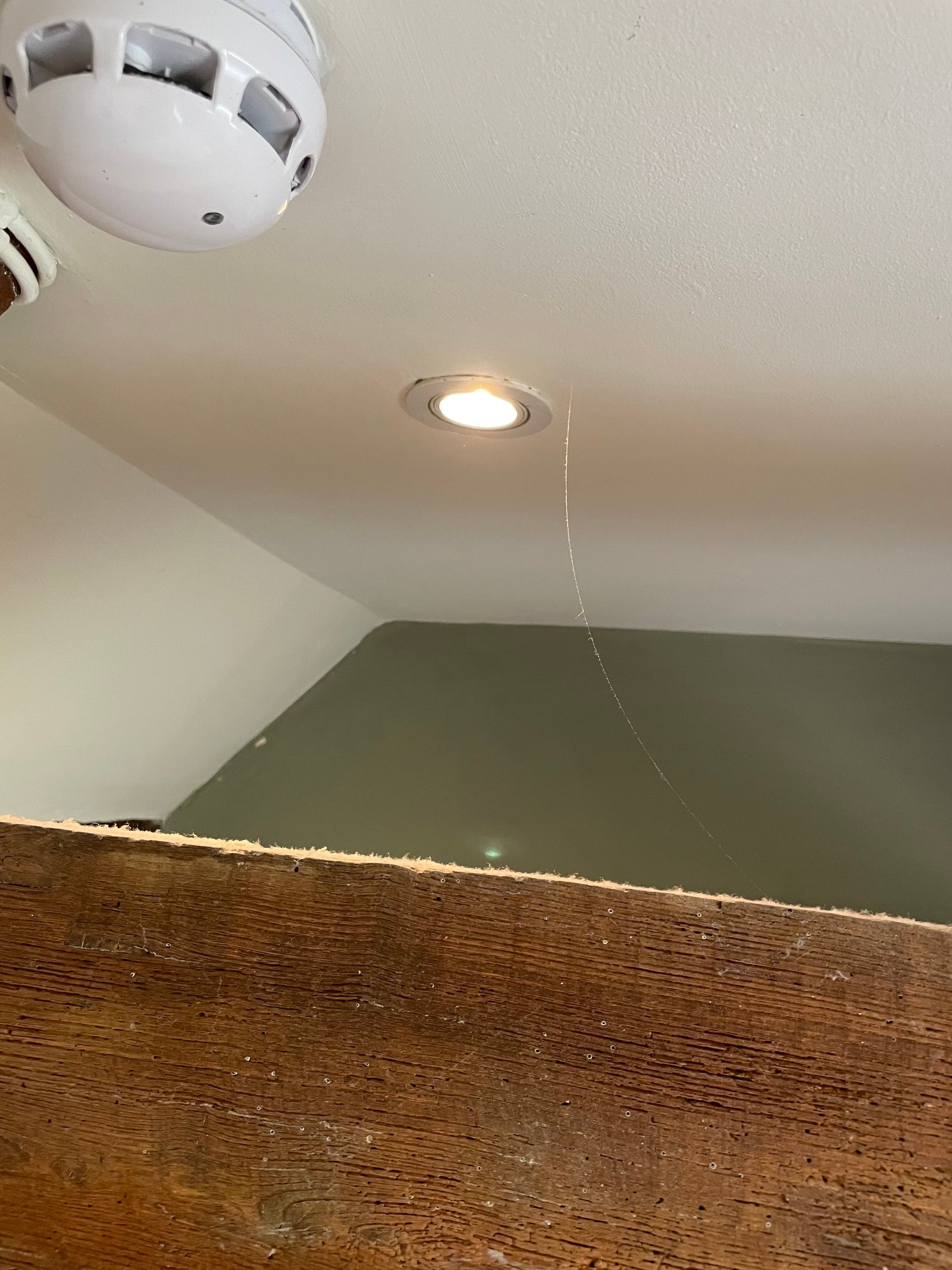 The Horse & Groom Inn-客卧