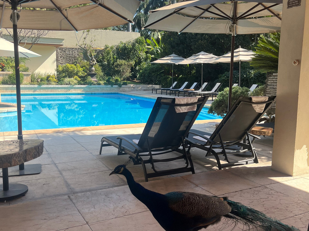 Spa Orlane by Las Mañanitas-奎尔纳瓦卡必去景点