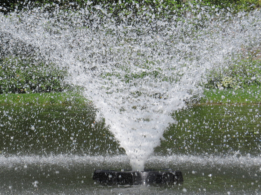 Leonard J. Buck Garden-Far Hills必去景点