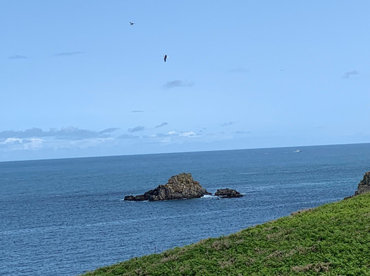 Seahorse Boat Trips-圣艾维斯必去景点