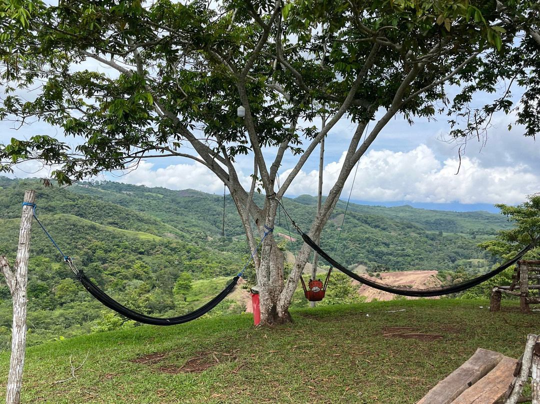 Finca Ecológica Alegria-Lamas必去景点