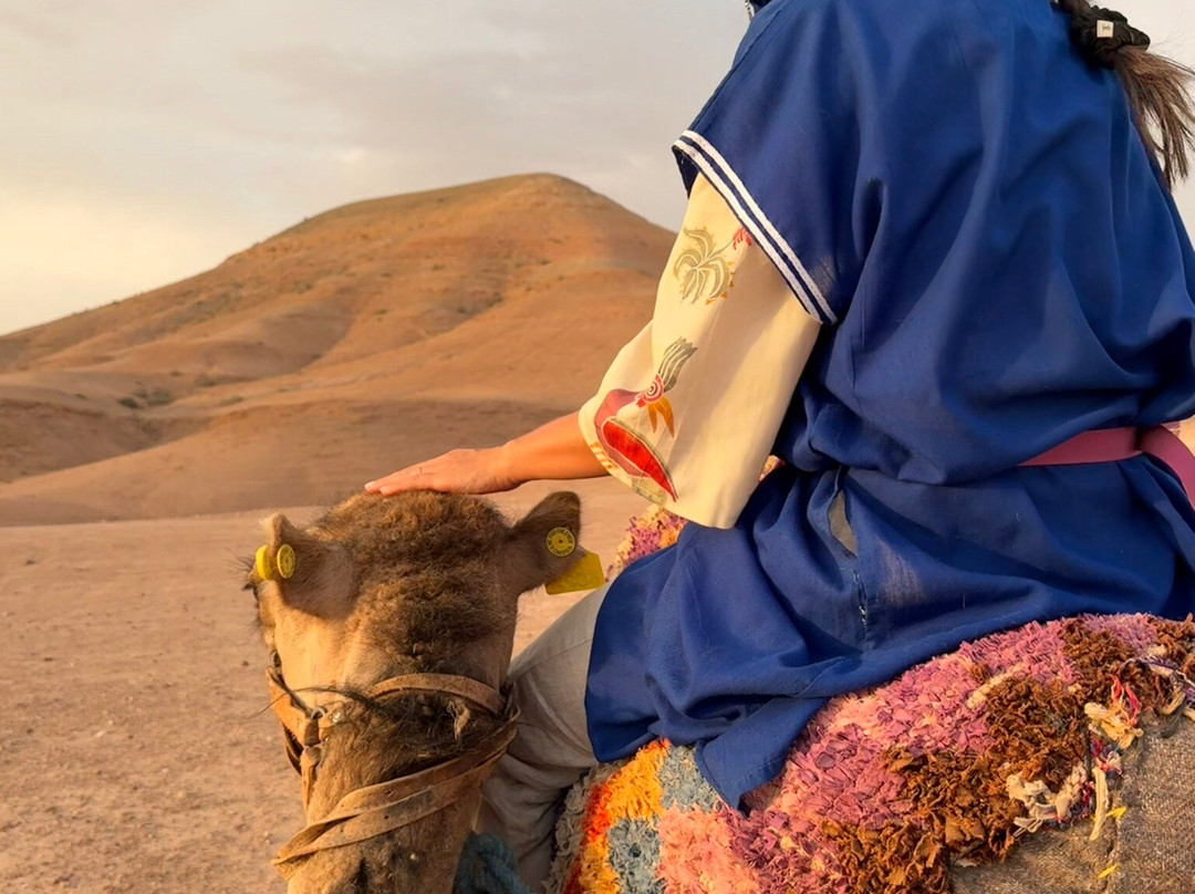 Morocco Scorpion Tours景点图片