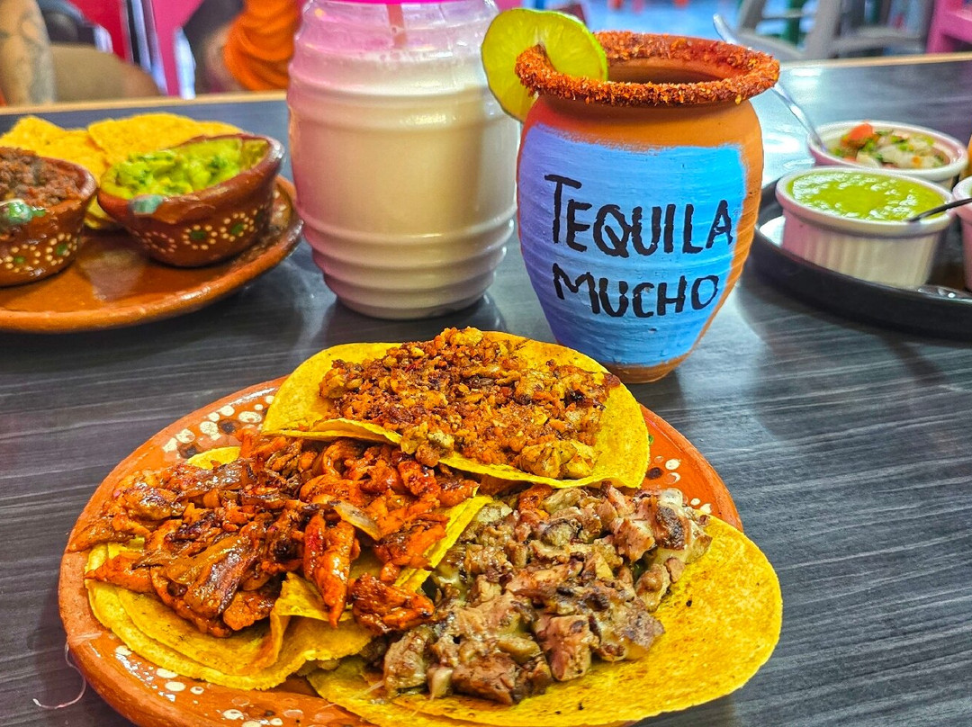 Two Brothers Yachts-坎昆必去景点