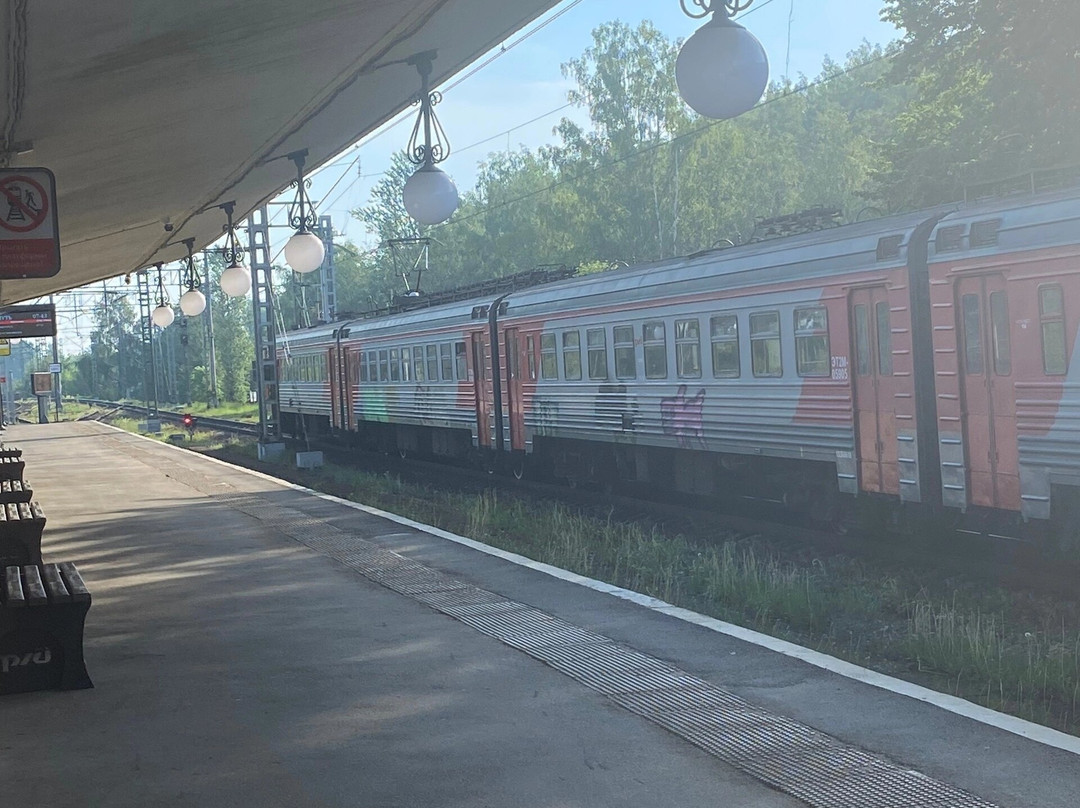 Pavlovsk Station景点图片