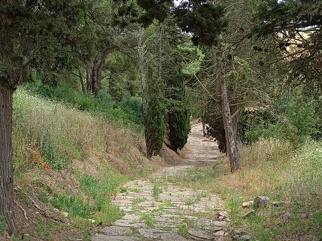 Mirobriga-Santiago do Cacem必去景点