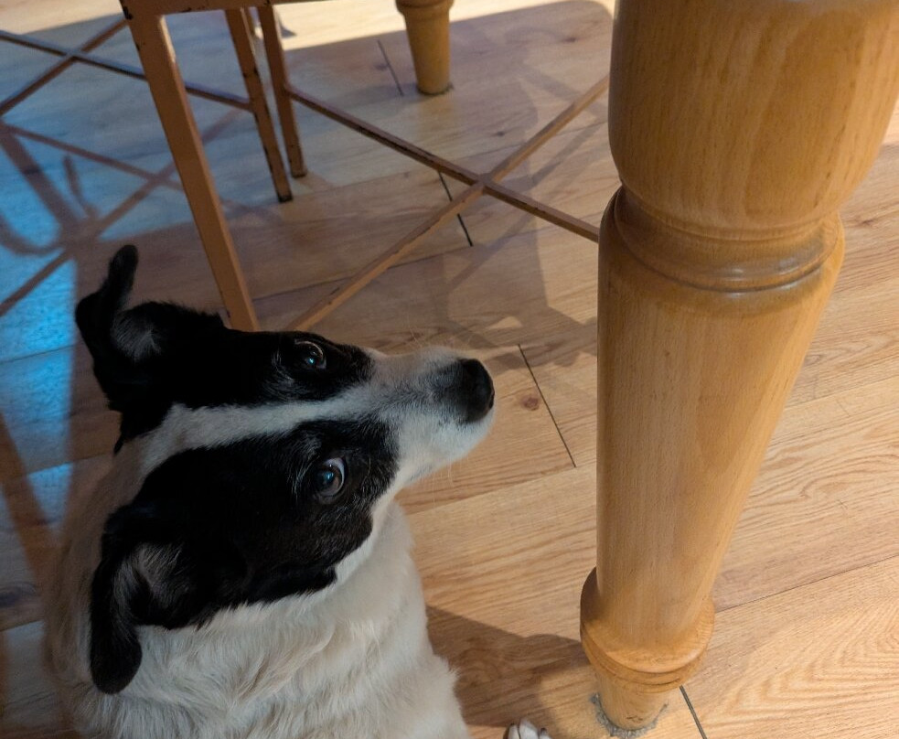 Durnsford's Lodge主图