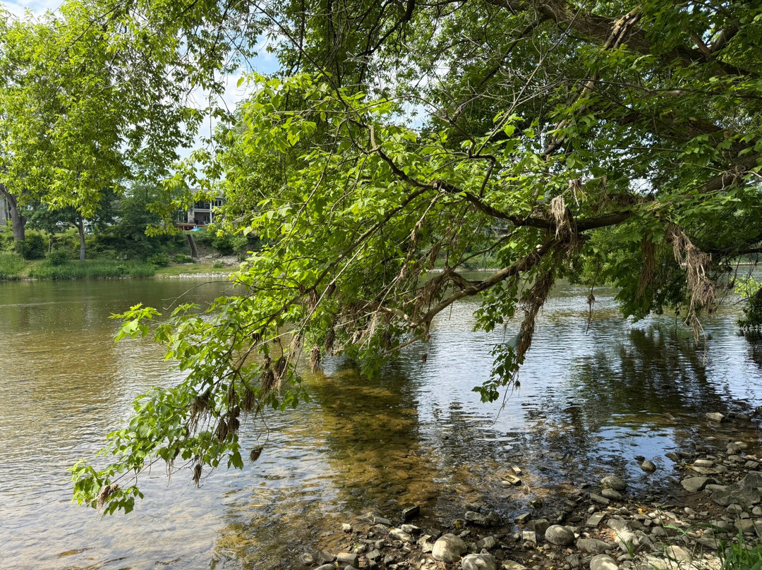 The Mulberry House on the Grand主图