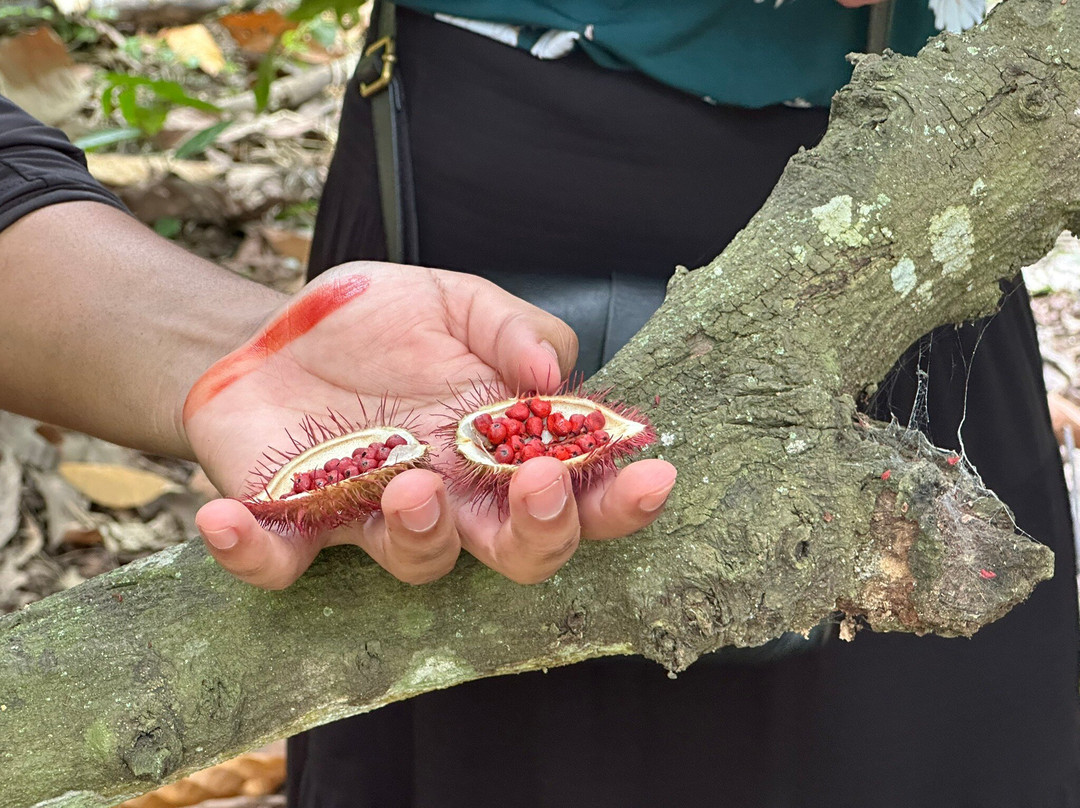 Hacienda Cacao y Mango-Naranjal必去景点