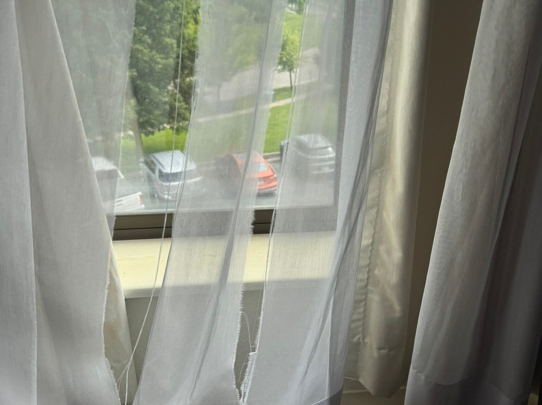 Baymont by Wyndham Chelsea主图