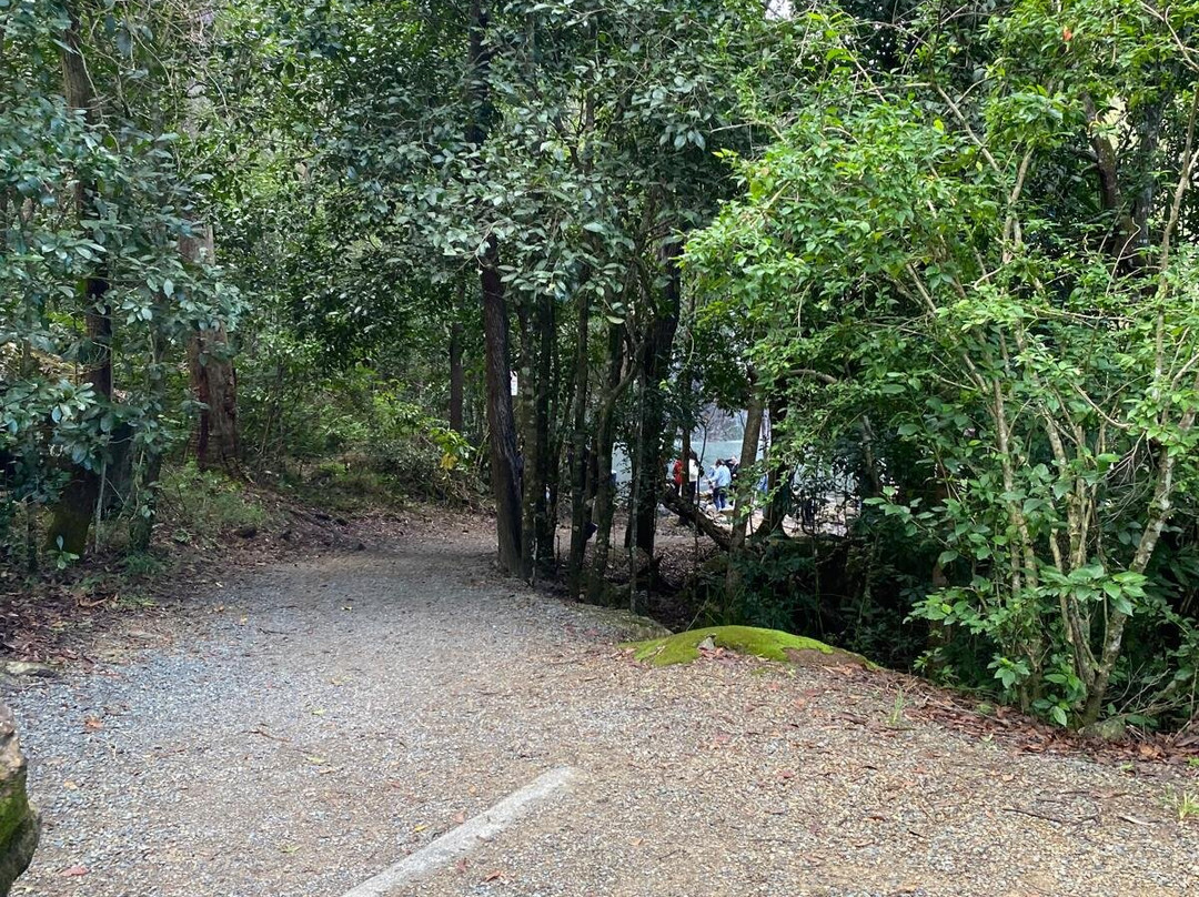 Cedar Creek Falls-Proserpine必去景点