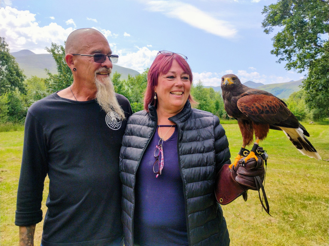 Killarney Falconry-基拉尼必去景点