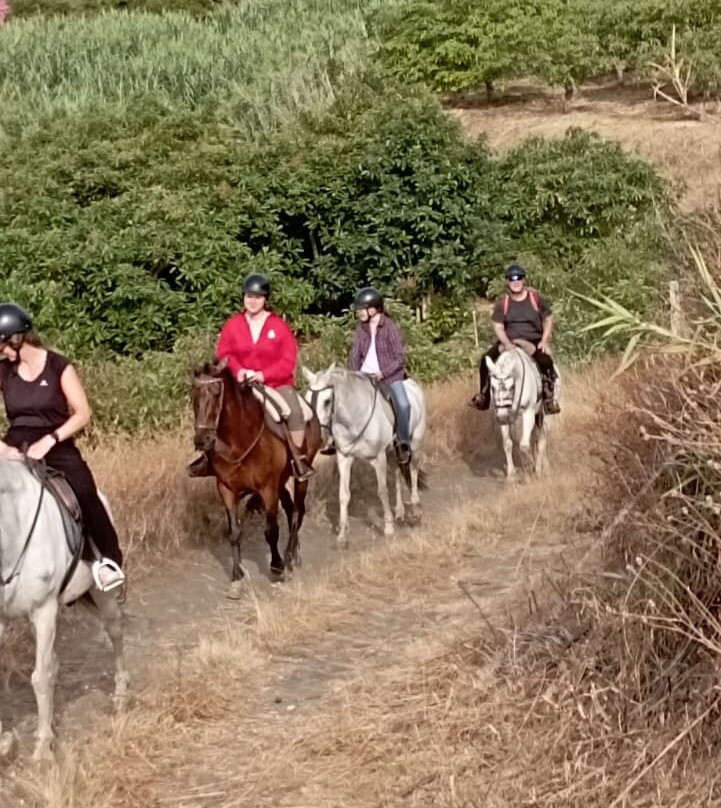 Andale Riding Nerja-内尔哈必去景点