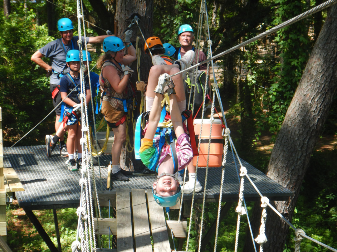 Charleston Adventure Forest-Awendaw必去景点