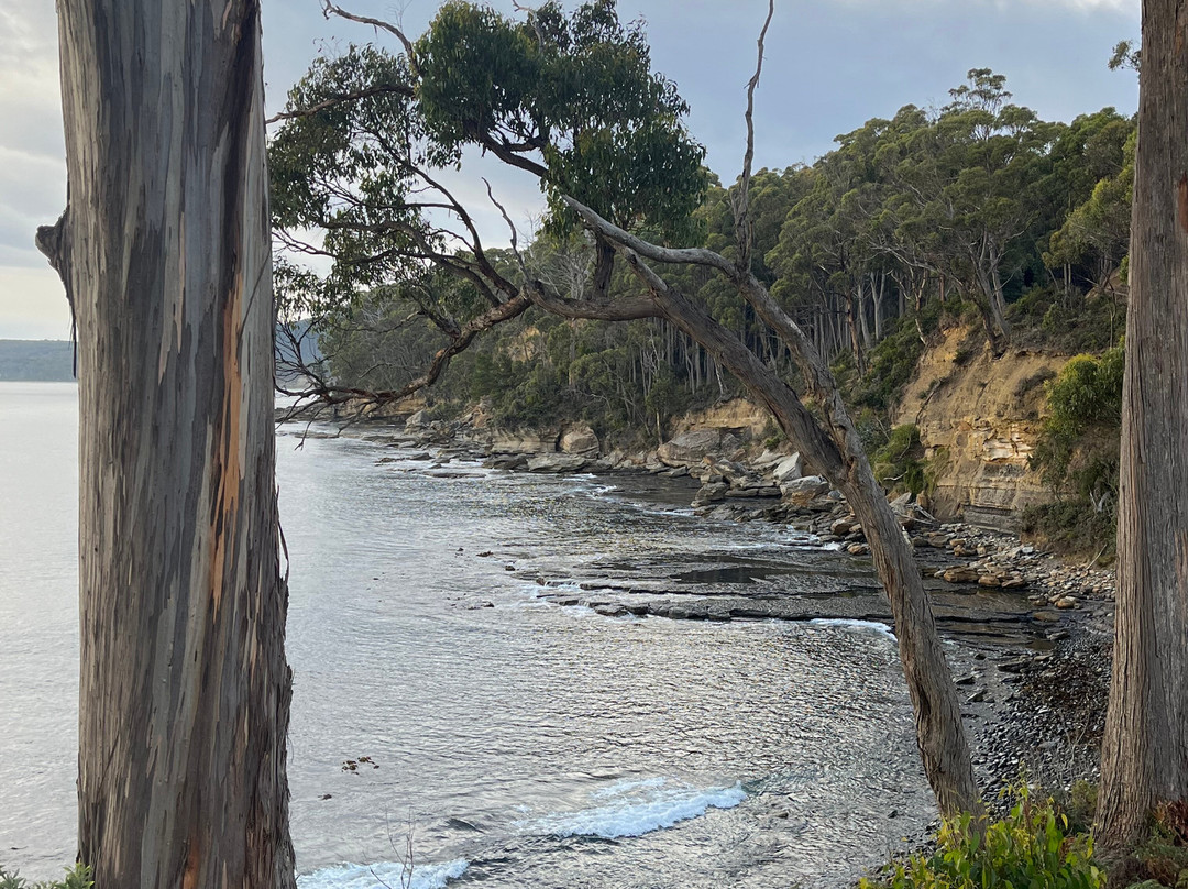 Coal Point-Adventure Bay必去景点