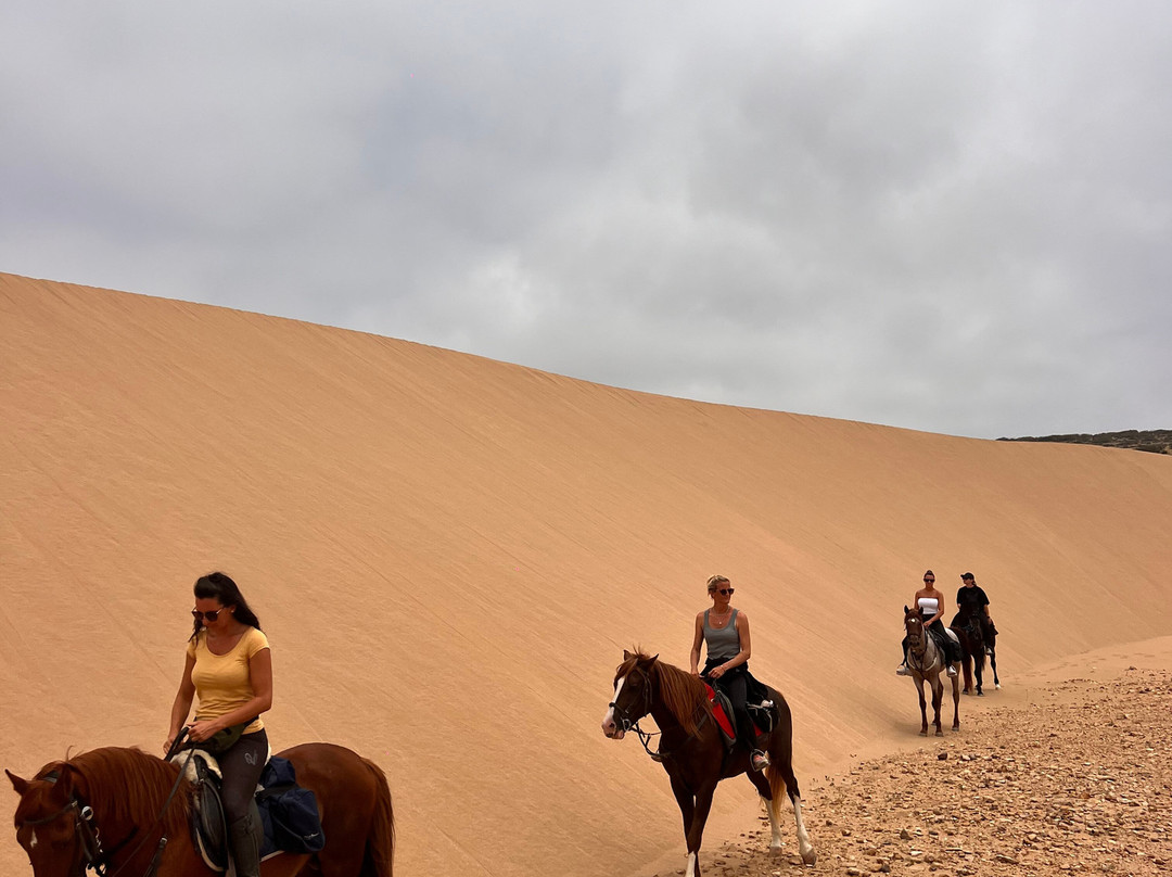 Mogador Horse-Diabat必去景点