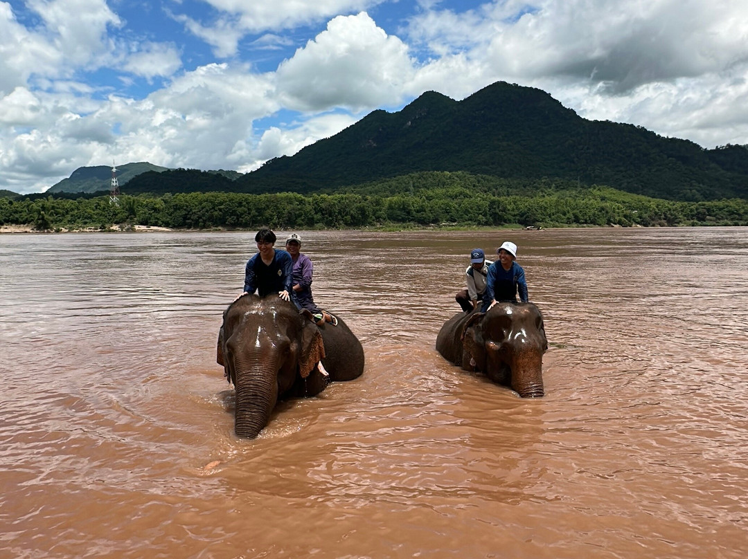 Manifa Elephant Camp-Sang Ha必去景点