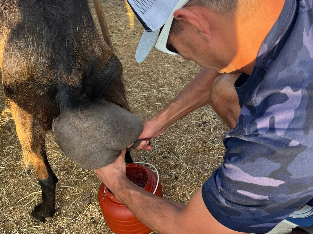 Anthi Farm Sifnos-Apollonia必去景点