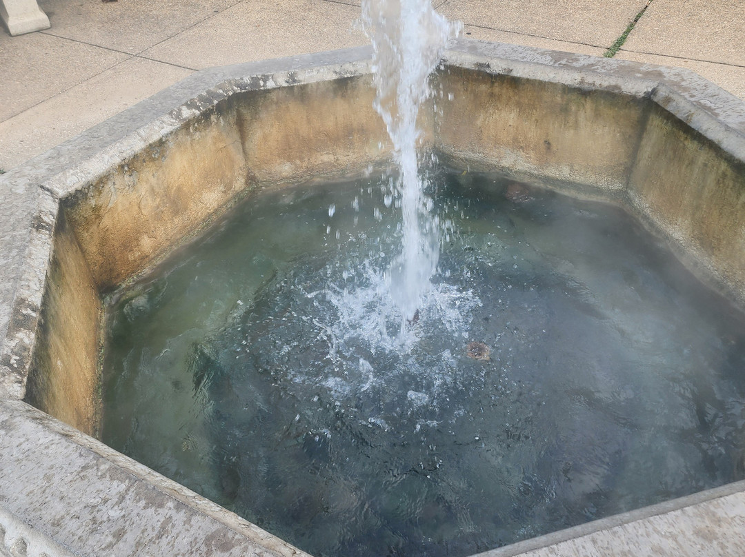 Buckstaff Bathhouse-温泉城必去景点